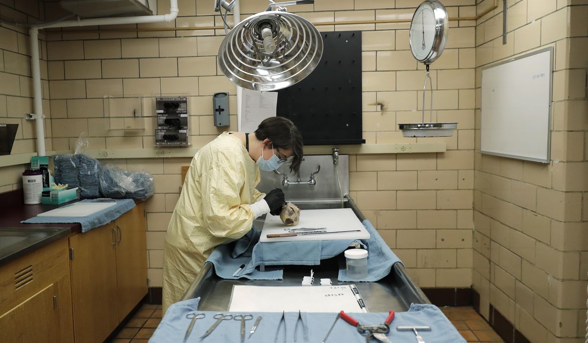Profile of a killer: Unraveling the deadly new
coronavirus 1