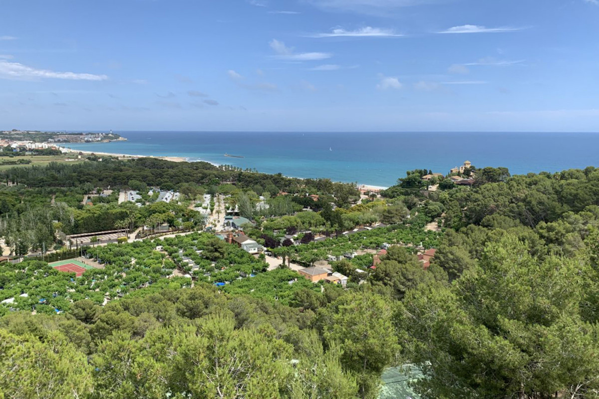 Spanish campsite offers guests on-the-spot COVID-19 tests to
stay without masks, social distancing 1
