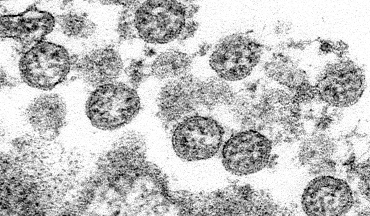 Georgia camp with COVID-19 outbreak didn’t require
masks 1