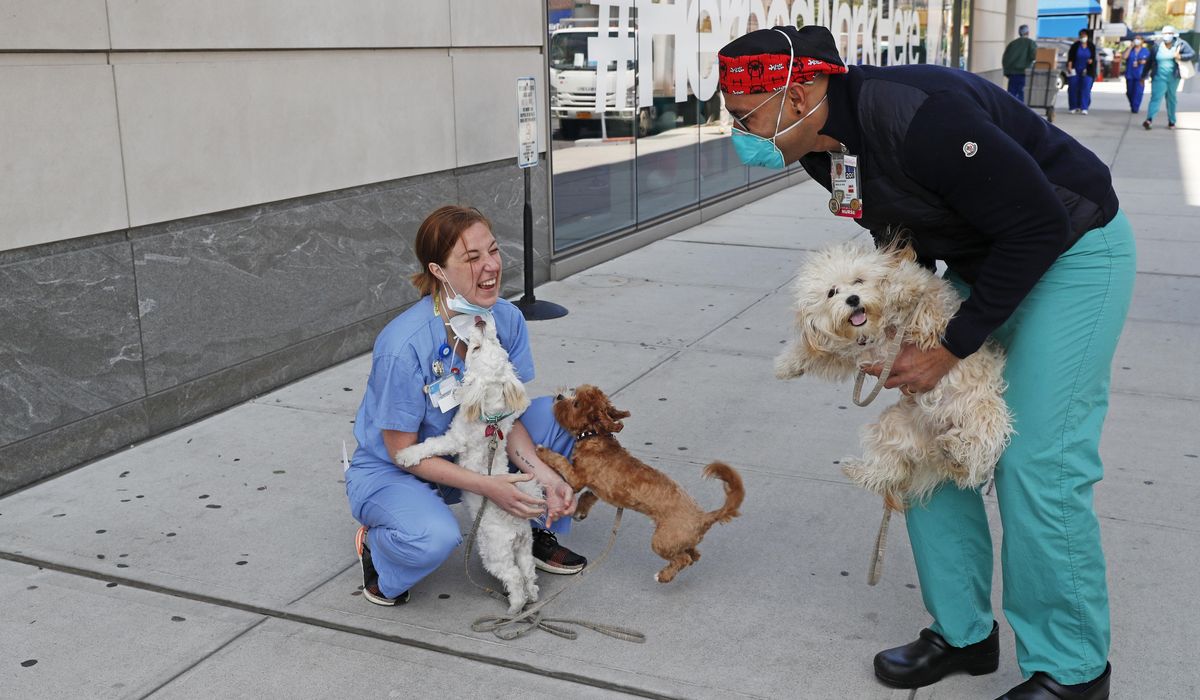 The one big winner amid the coronavirus shutdown:
pets 1