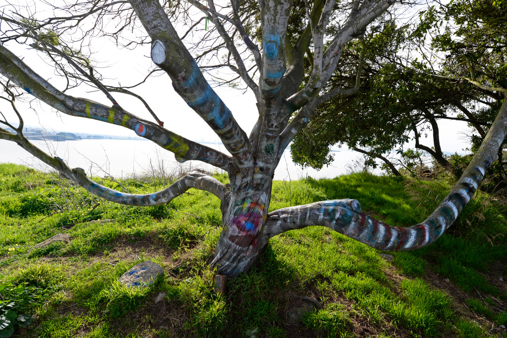 New stretch of Bay Trail connecting Oakland to Richmond
opens 1