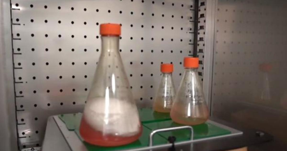Biotech lab develops blueprint to fast-track coronavirus
vaccine production 1