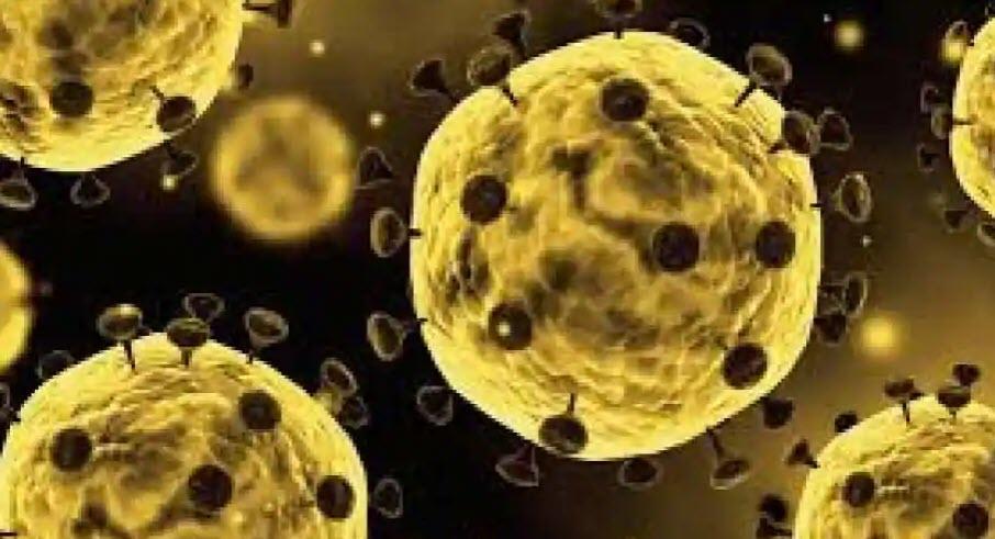 Sellin: Unless True Origin Of COVID-19 Is Identified,
Another Chinese Pandemic Is Assured 1