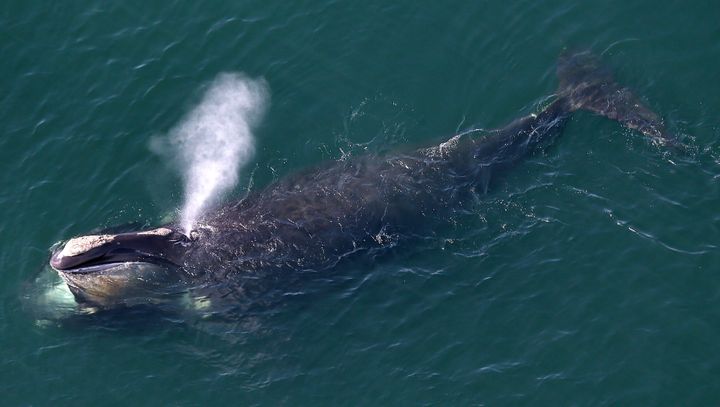 NOAA Opens — Then Halts — Inquiry Into Alleged Political
Meddling 1