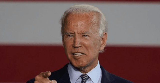 Joe Biden Says 'Hundreds and Hundreds' of 'Dreamers' Kept
Economy Going During Coronavirus 1