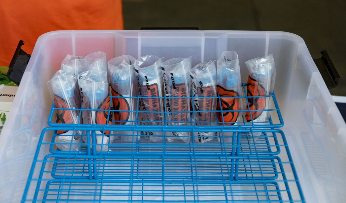 U. of I. expects COVID-19 cases to multiply as students
return, but officials say they can stop the spread with new saliva
test 1