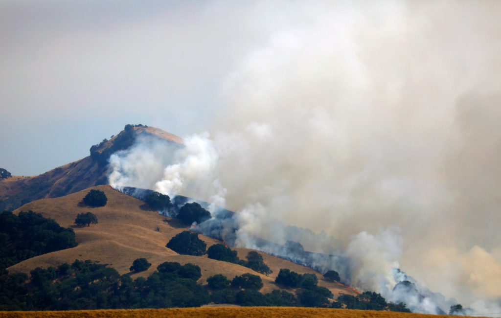Some East Bay parks affected by fires could reopen
Thursday 1
