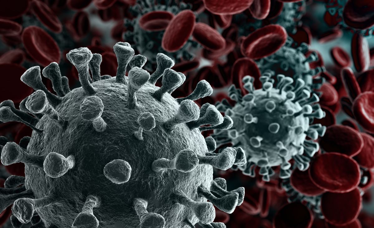 Poll: 57% of Republicans find 176,000 coronavirus death toll
in the U.S. ‘acceptable' 1