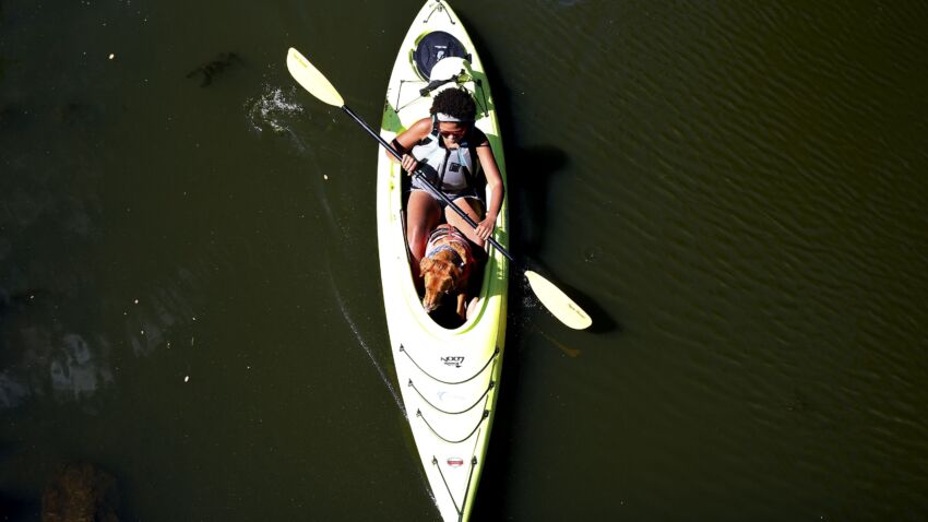 Paddle Boston temporarily shutters Allston location after
worker tests positive for coronavirus 1