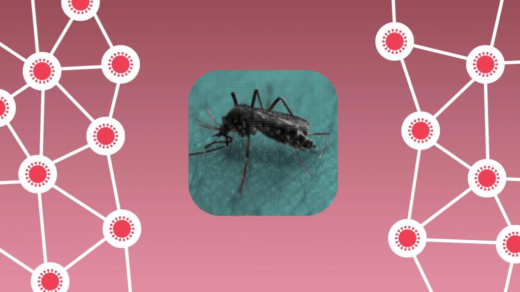 Can mosquitoes spread the coronavirus? 1