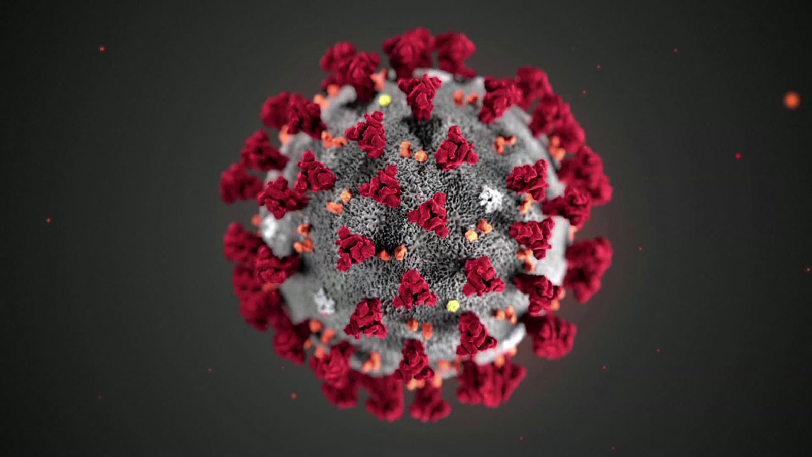 More than 25 million people have been infected by
coronavirus 1