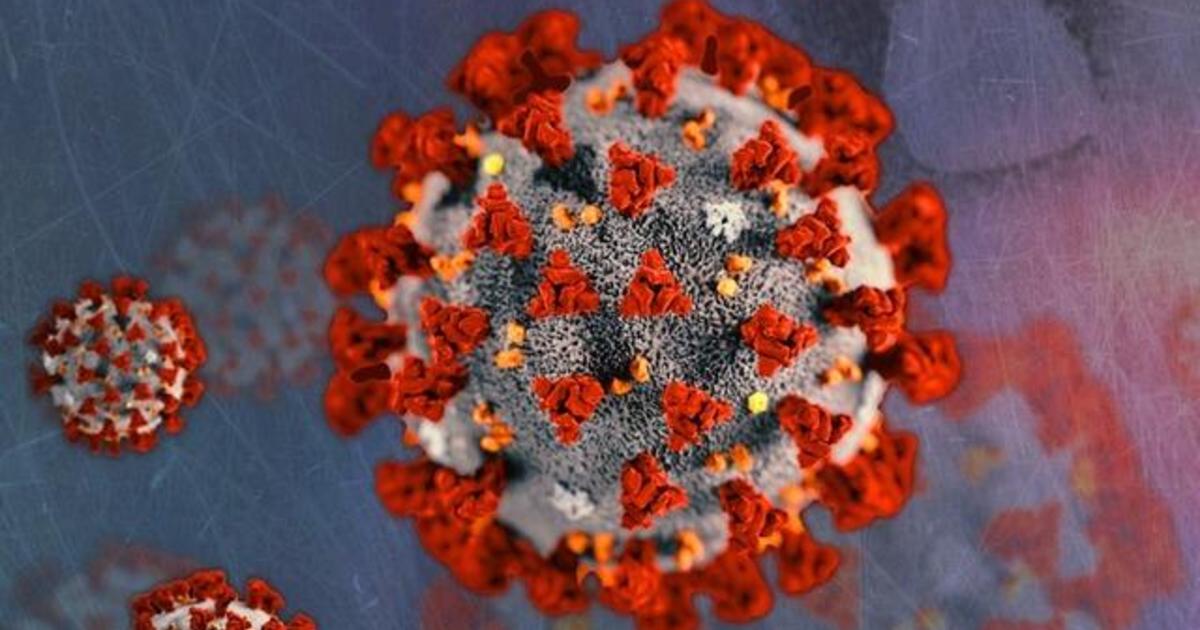 Trump touts convalescent plasma use in fight against
COVID-19 after FDA approval 1