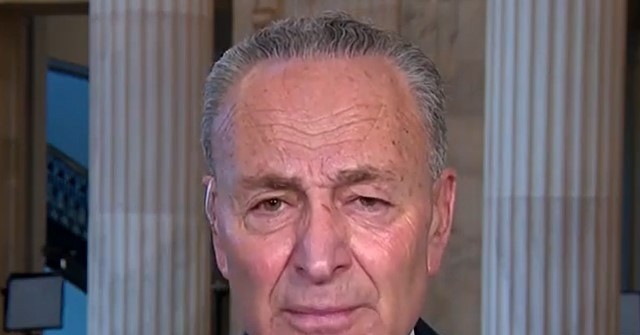 Schumer on Postmaster General DeJoy: 'Clear to Me' His Goal
Is to 'Dismantle the Post Office Brick by Brick' 1