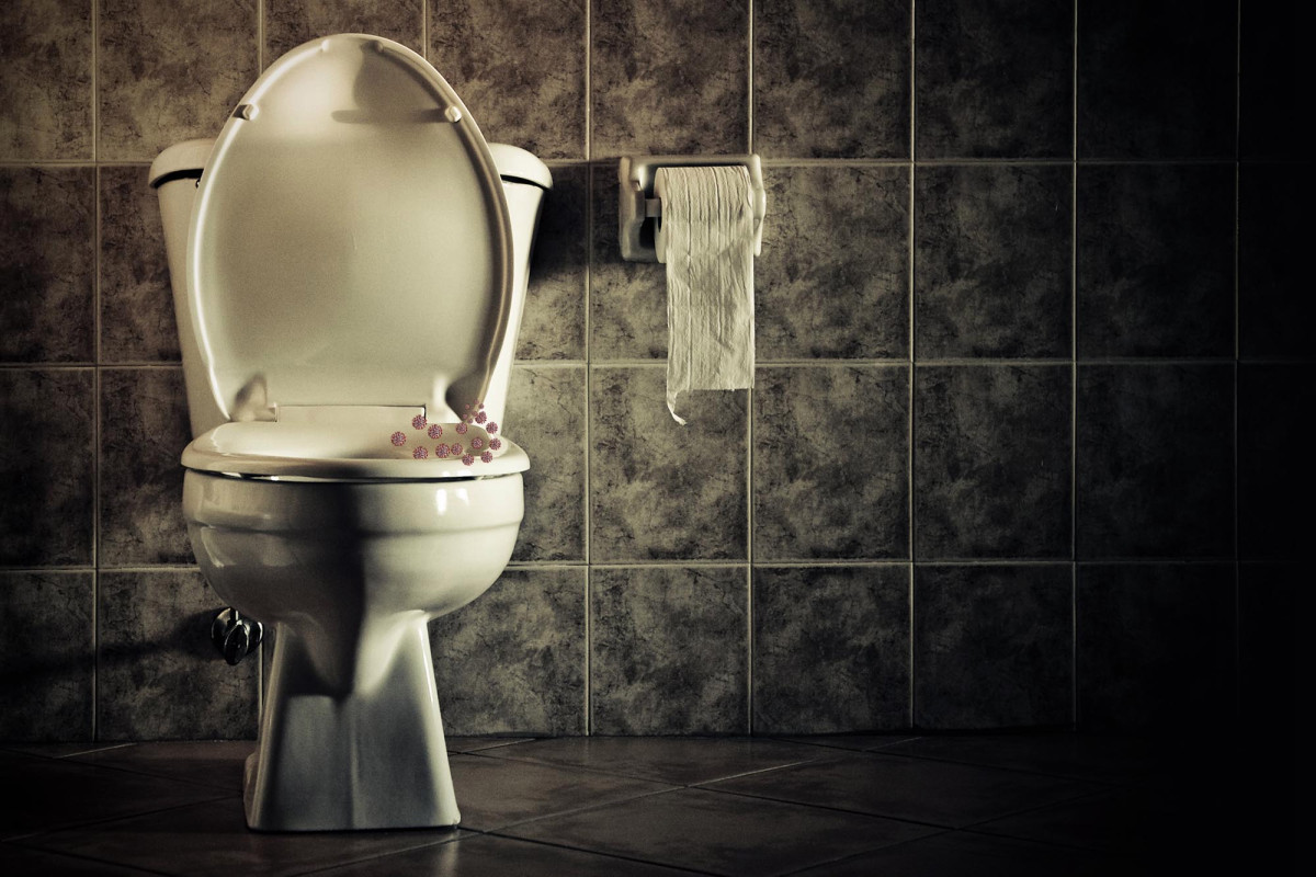 COVID-19 can waft through toilets into other apartments,
study finds 1