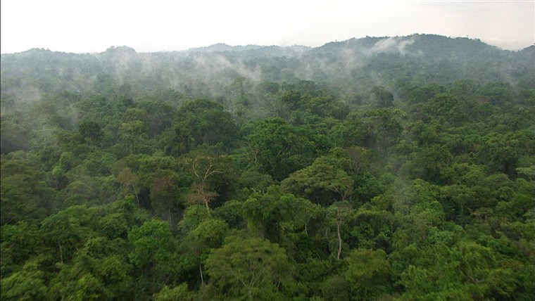 Already battling coronavirus, Brazilians now fear smoke from
raging Amazon fires 1
