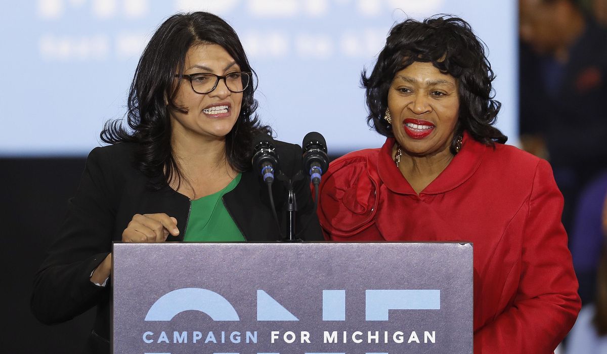 Michigan primary tests Tlaib, features 2 open House
races 1