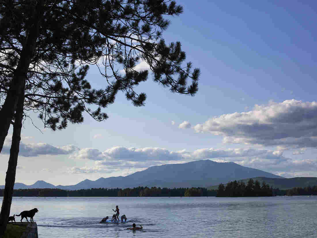 53 Coronavirus Cases Reportedly Linked To Maine Wedding
Reception 1