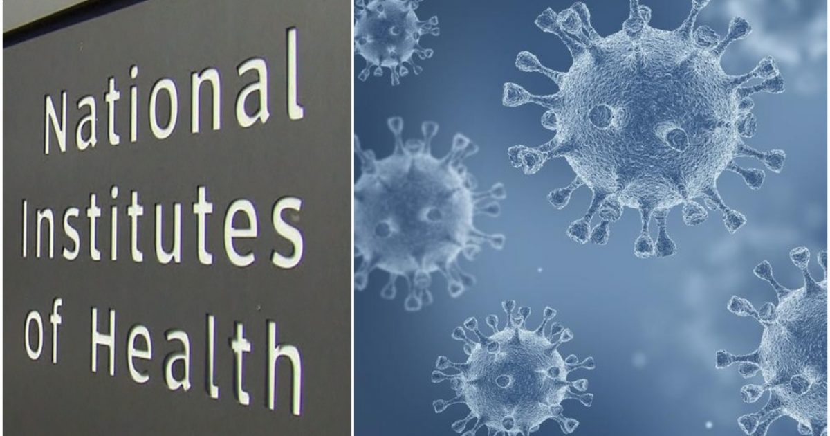 Trump Administration Demands Records about Coronavirus
Origin From Firm Responsible for Controversial Wuhan Lab
Research 1