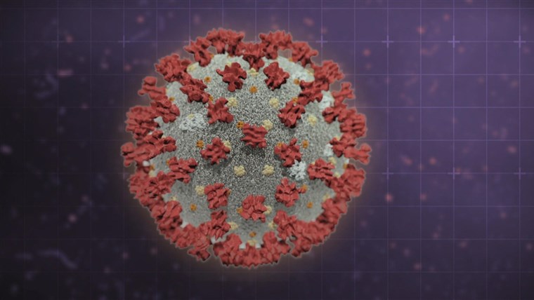 COVID-19 reinfection reported in Nevada patient, researchers
say 1