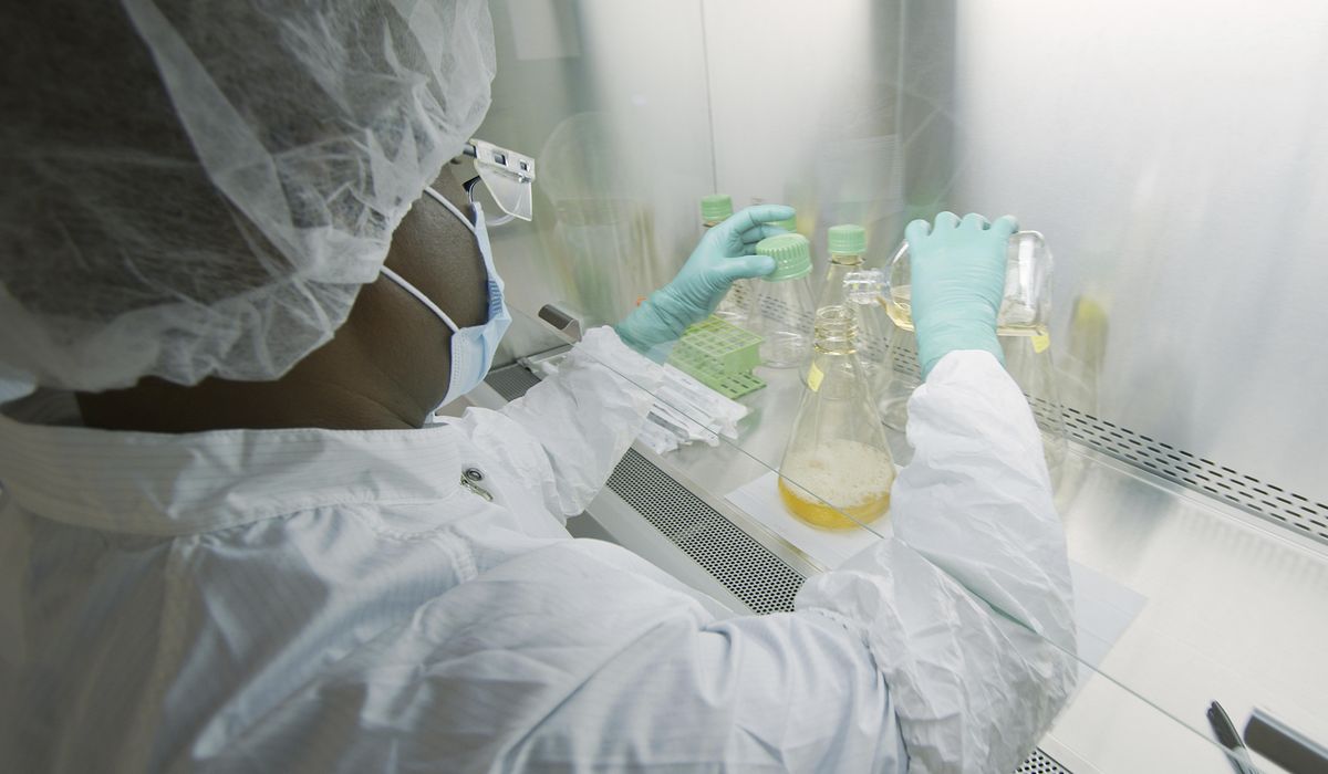 Companies test antibody drugs to treat, prevent
COVID-19 1