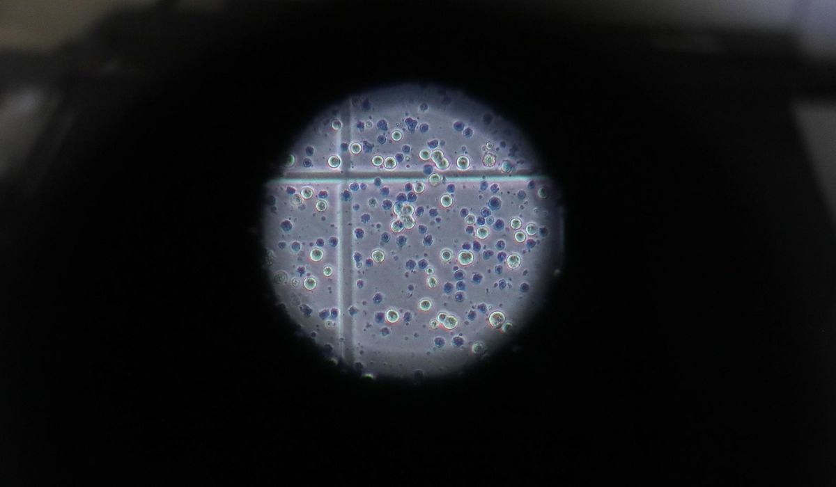 South Dakota coronavirus data breach under FBI
investigation 1