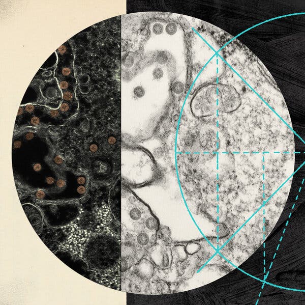 The Pandemic, from the Coronavirus’s Perspective 1