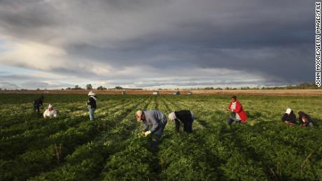 Why Latinos in California are being hit hard by
Covid-19 1