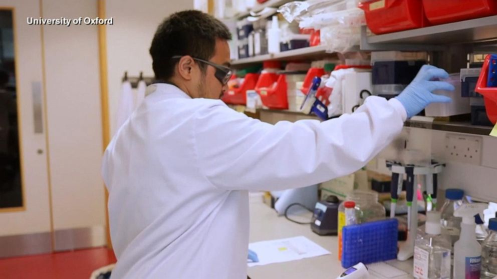 Halt of coronavirus trial is 'safety valve' at work:
Fauci 1