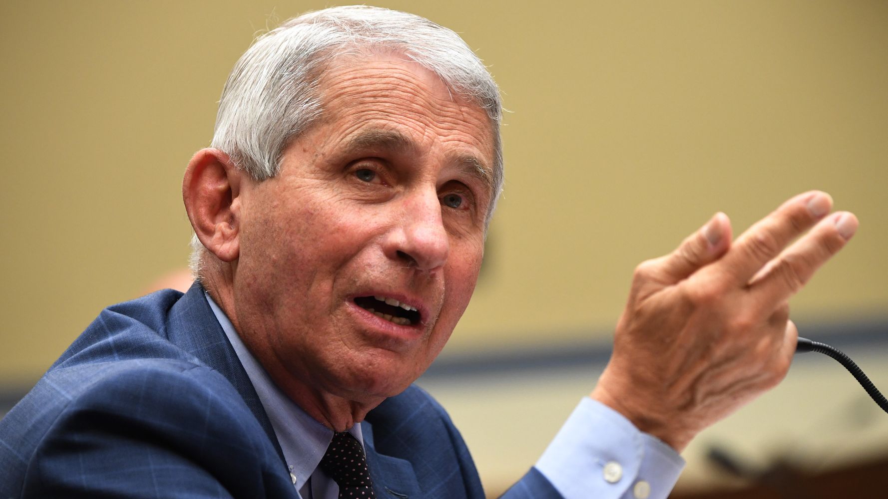 Fauci Warns 7 States To Take Extra Holiday Precautions
Against COVID-19 Surge 1