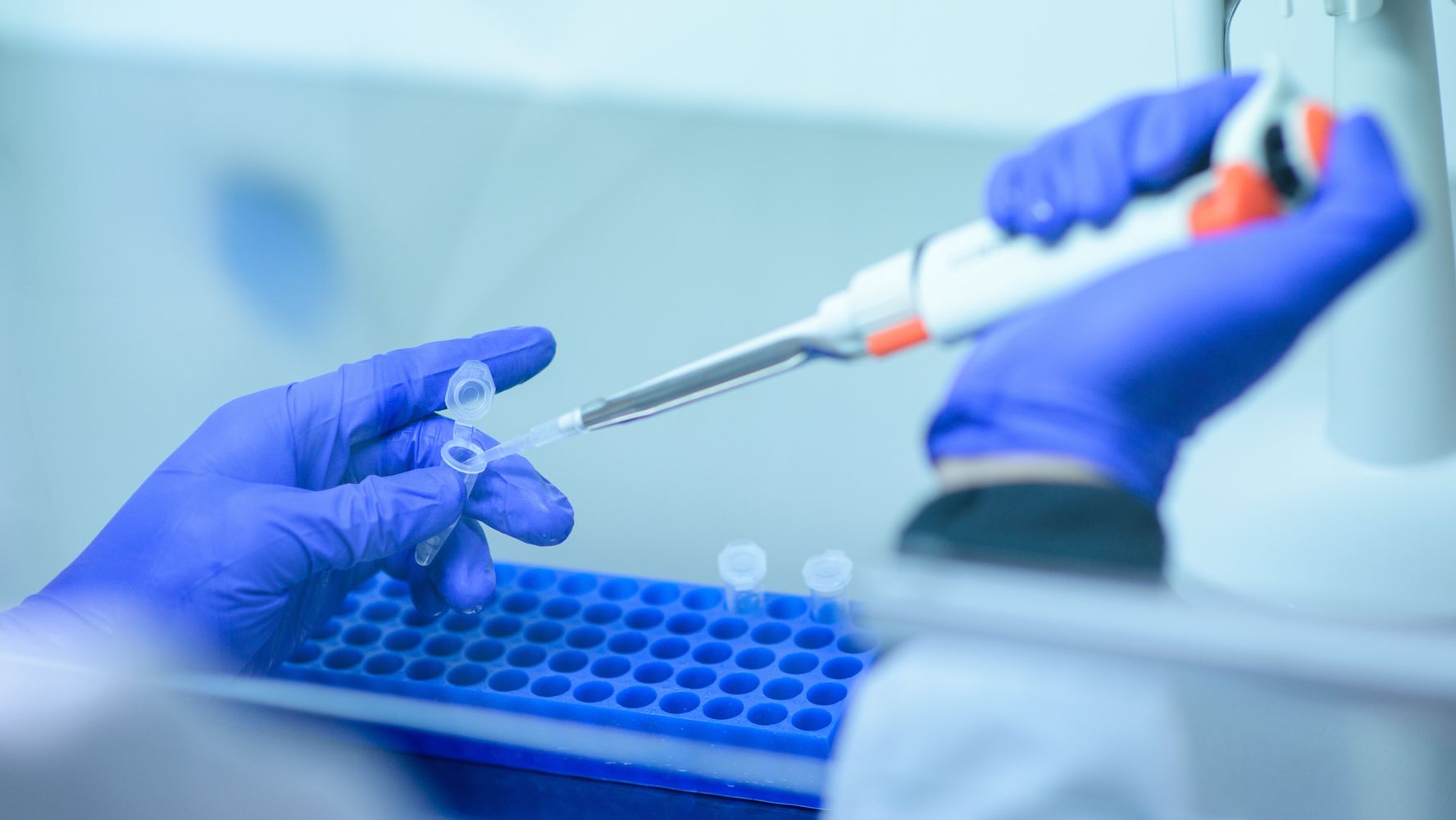 Parents Send Student To School Who Is Knowingly Infected
With COVID-19 1