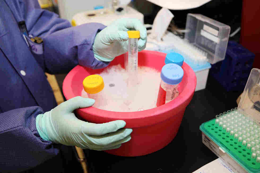 Army Marshals Resources To Aid In Race For Coronavirus
Vaccine 1