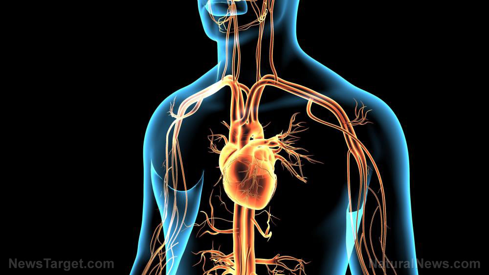 Coronavirus can break your heart – literally – says new
study 1
