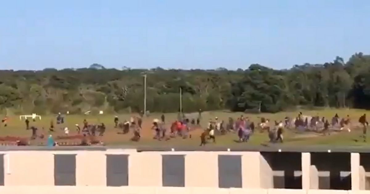 South African protesters storm racetrack, violently assault
defenseless horses 1