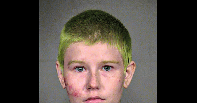 Portland Mugshots: 30 Arrested Following Saturday's
Protests 1