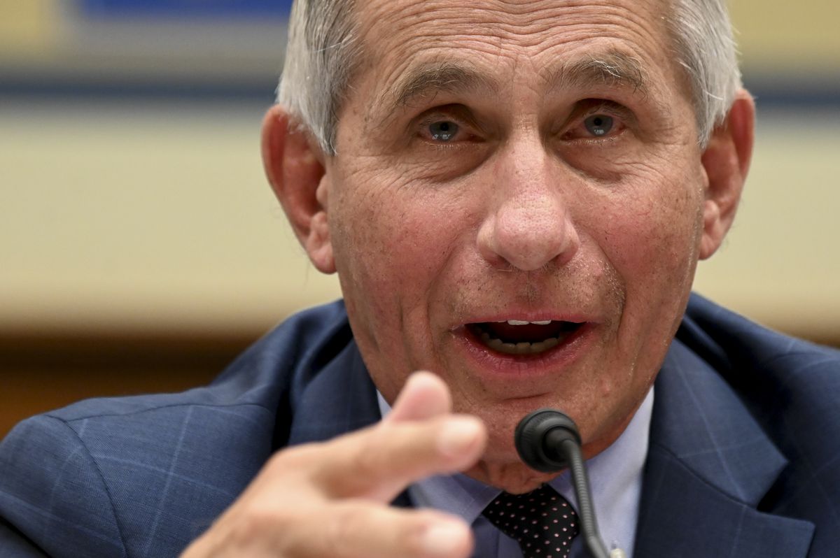 Halt of coronavirus trial is ‘safety valve' at work:
Fauci 1