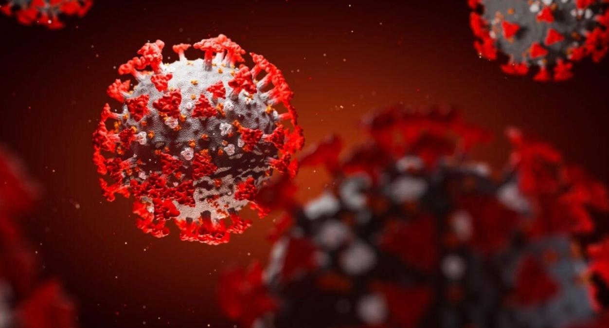Scientists Isolate Coronavirus Antibody In Breakthrough That
Could Lead To New Treatment 1