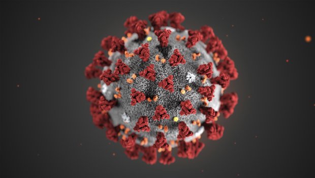 Coronavirus glossary: Terms that became part of our daily
dialogue in the past 6 months 1