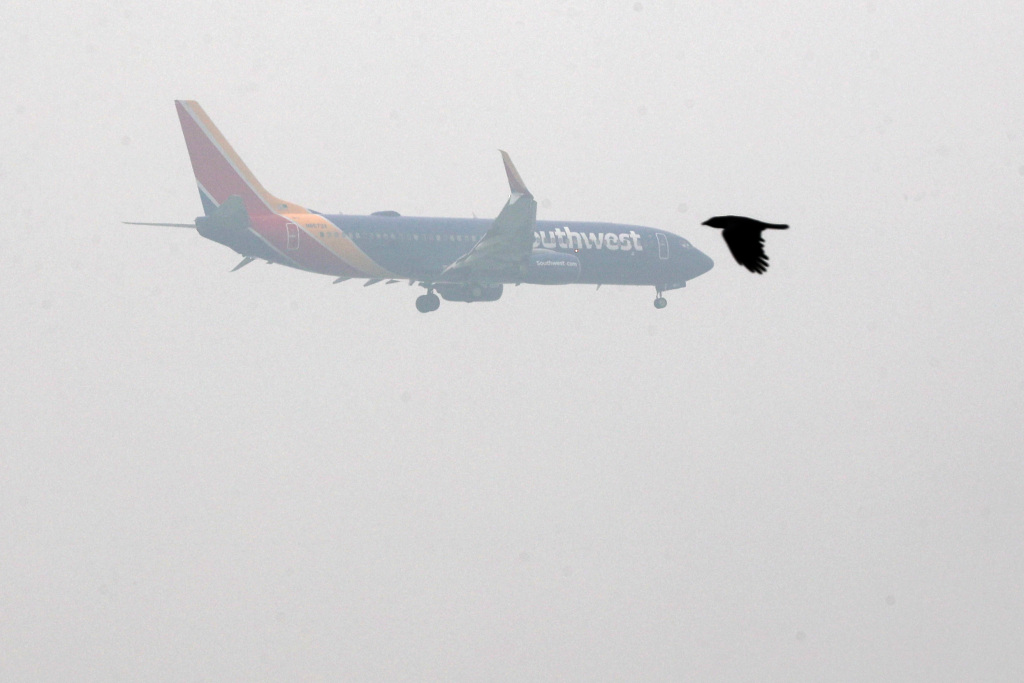 Coronavirus travel: Oakland airport passenger traffic slumps
in August 1