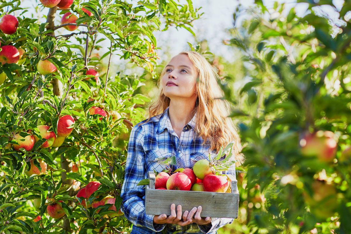 Cuomo offers coronavirus guidance for haunted houses,
hayrides and apple picking while amusement parks plead for
answers 1 Cuomo offers coronavirus guidance for haunted houses,
hayrides and apple picking while amusement parks plead for
answers 1