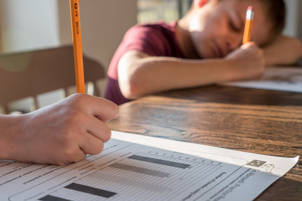 Thanks To Coronavirus Panic, 1 In 10 American Families Is
Now Home-Schooling 1