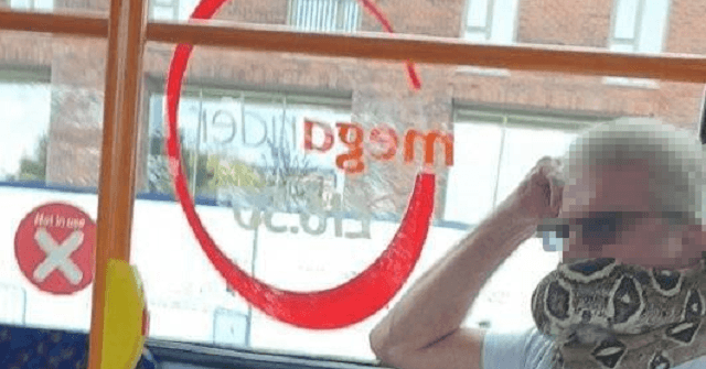 Hisssterical! Man Wears Live Snake Instead of a Mask on
Manchester Bus 1