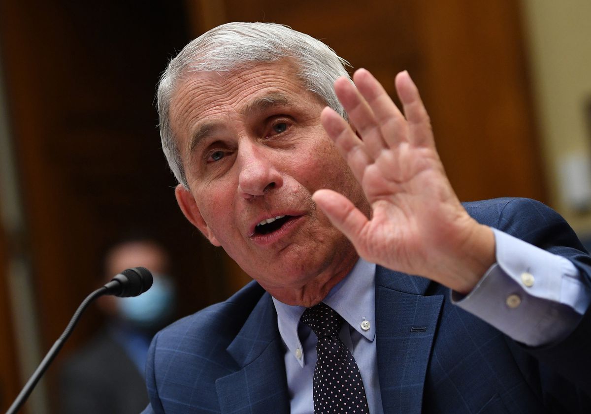 Fauci warns that Illinois and six other states are at higher
risk for a COVID-19 surge over Labor Day weekend, report
says 1 Fauci warns that Illinois and six other states are at higher
risk for a COVID-19 surge over Labor Day weekend, report
says 1