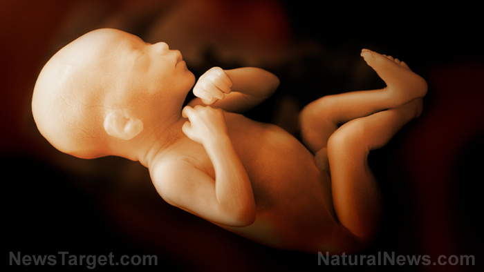 Group of senators urge FDA to classify abortion pill as an
“imminent hazard to the public health” 1