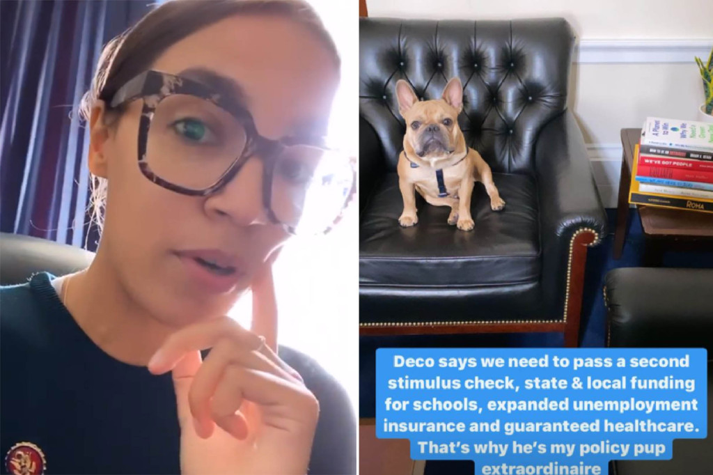 AOC, other ‘Squad’ members bring dogs to work amid
COVID-19 1