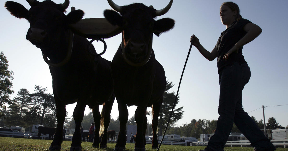 Seasonal workers in Maine brace for long winter amid
coronavirus 1