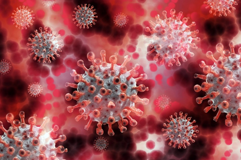 Virologist Explains His Quest To Track Down The Origin Of
COVID-19 1