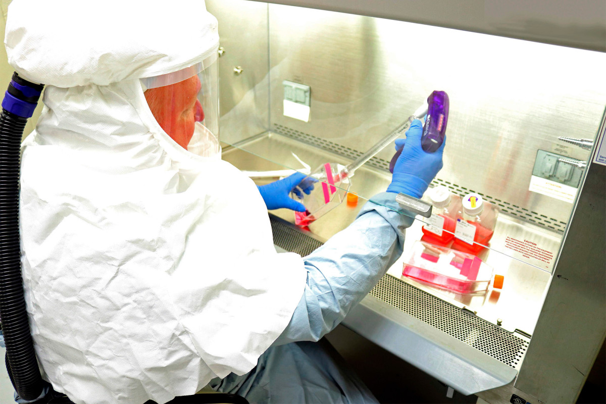 Americans divided over who should distribute COVID-19
vaccine: poll 1