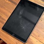 Bored Teen Spends Virtual English Class Carving Weed Leaf
Into Tablet Screen 17