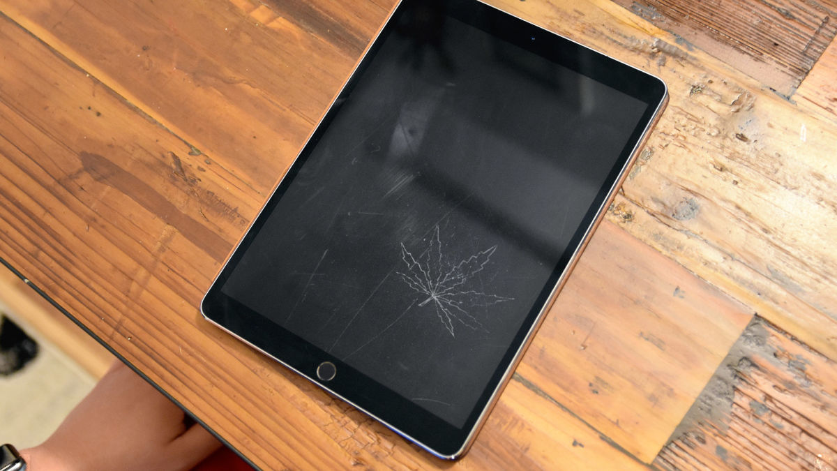 Bored Teen Spends Virtual English Class Carving Weed Leaf
Into Tablet Screen 1