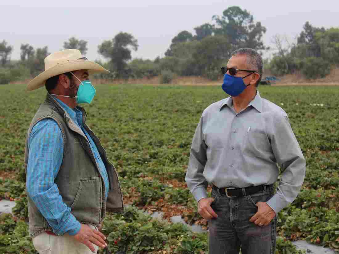 Farm Workers Face Double Threat: Wildfire Smoke And
COVID-19 1